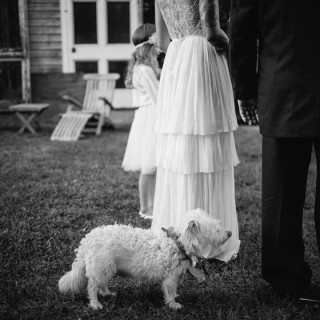 Puppy Love Wedding.